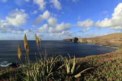 Blick vom Hotel in Richtung Sardinas